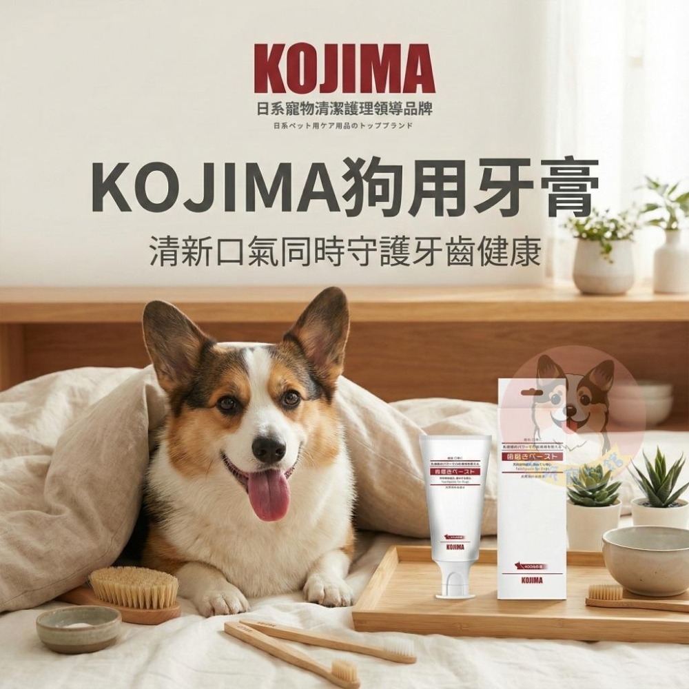 KOJIMA狗用牙膏🇯🇵 狗狗牙膏 寵物牙膏 牛奶牙膏 乳酸菌 幼犬牙膏 KOJIMA牙膏 寵物用品 狗用品狗狗牙膏推薦-細節圖2