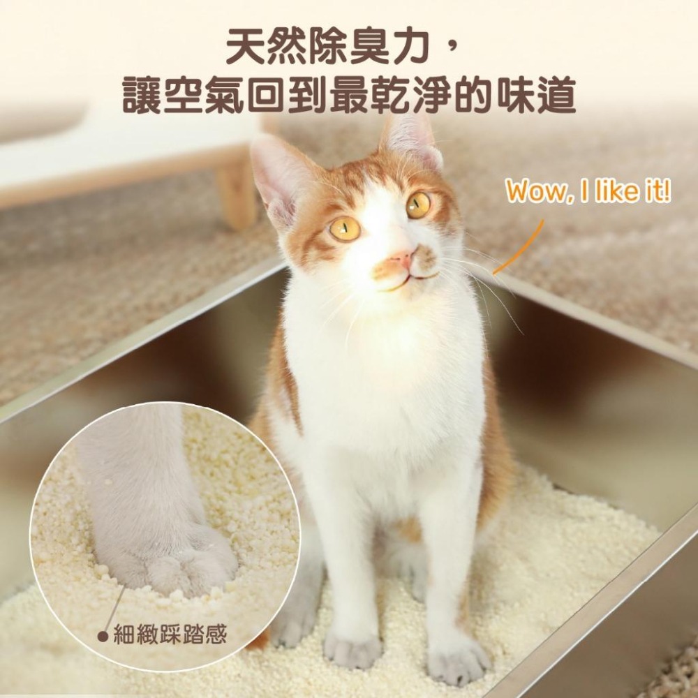 FUKUMARU 福丸貓砂🍎 福丸 貓砂 豆腐砂 木薯砂 蘋果 貓用品 貓咪 2.7KG-細節圖6