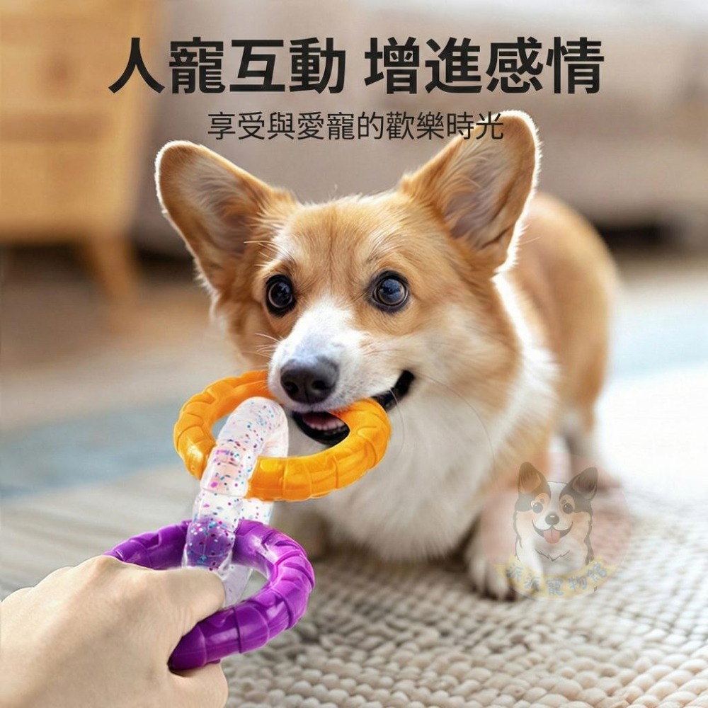 💜三連拉力環💜 TPR玩具 狗狗玩具 磨牙玩具 寵物玩具 狗玩具 幼犬玩具 小狗玩具 拔河玩具球寵物玩具球狗啃咬玩具-細節圖3