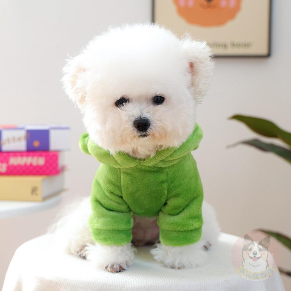 法蘭絨動物帽T🐸 寵物衣服 狗狗衣服 狗衣服 小狗衣服 幼犬衣服 寵物帽T 貓咪衣服 博美貴賓比熊雪納瑞臘腸馬爾濟斯衣服-細節圖6