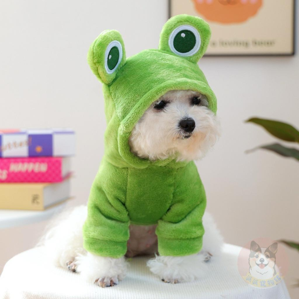 法蘭絨動物帽T🐸 寵物衣服 狗狗衣服 狗衣服 小狗衣服 幼犬衣服 寵物帽T 貓咪衣服 博美貴賓比熊雪納瑞臘腸馬爾濟斯衣服-細節圖7