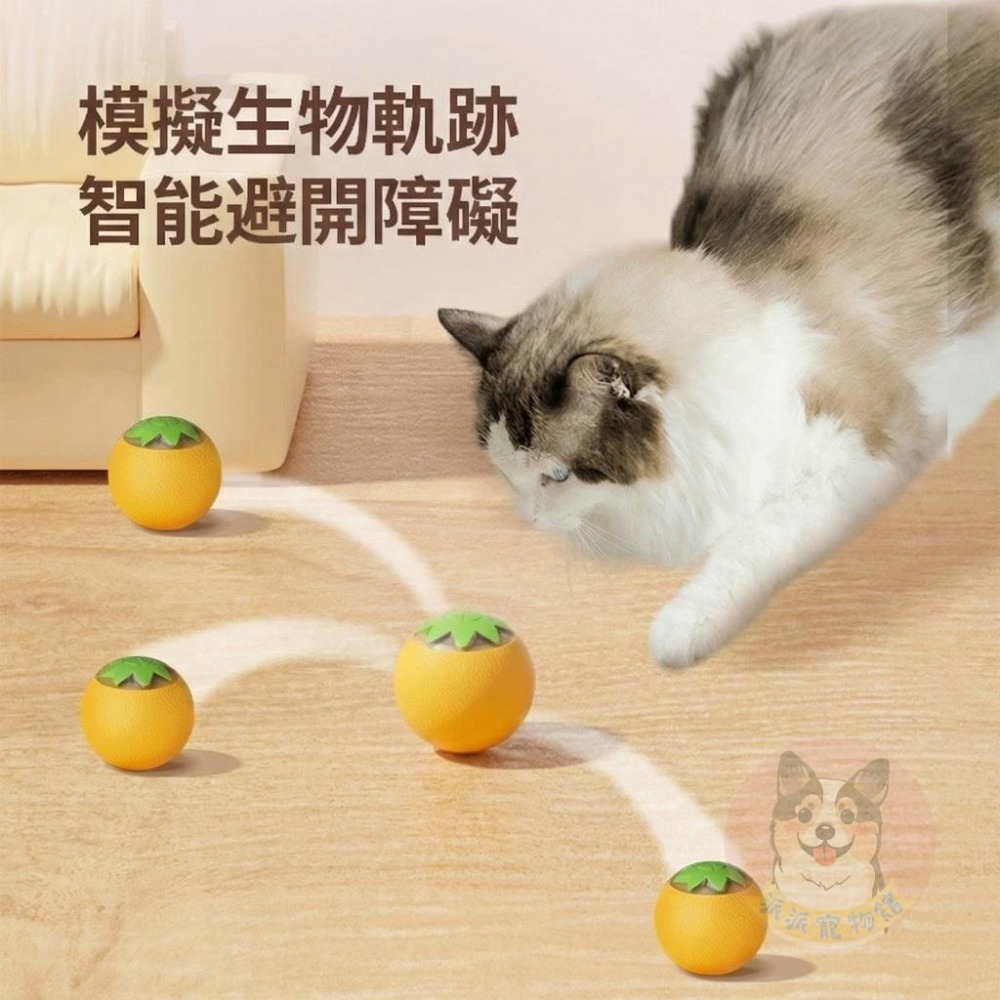 橘子滾滾球🍊 貓咪玩具 貓玩具 幼貓玩具 電動玩具 電動球 貓球 貓咪電動球 寵物玩具電動球 電動玩具球 貓咪球 寵物球-細節圖2