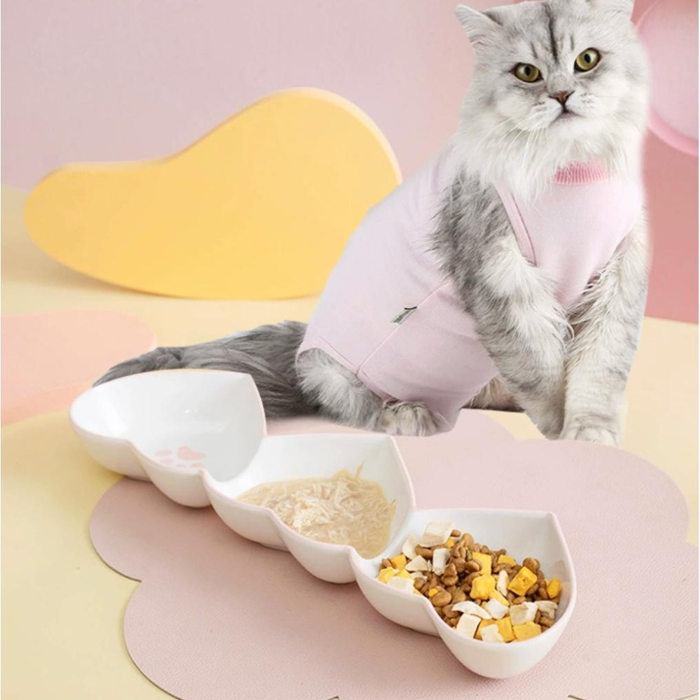🐾三連心幼貓碗｜心形三格分食陶瓷碗 濕乾分離/少量多餐/不壓鬍鬚｜幼貓餐盤 貓碗 貓咪分隔碗（粉/藍/黃/黑）-細節圖2