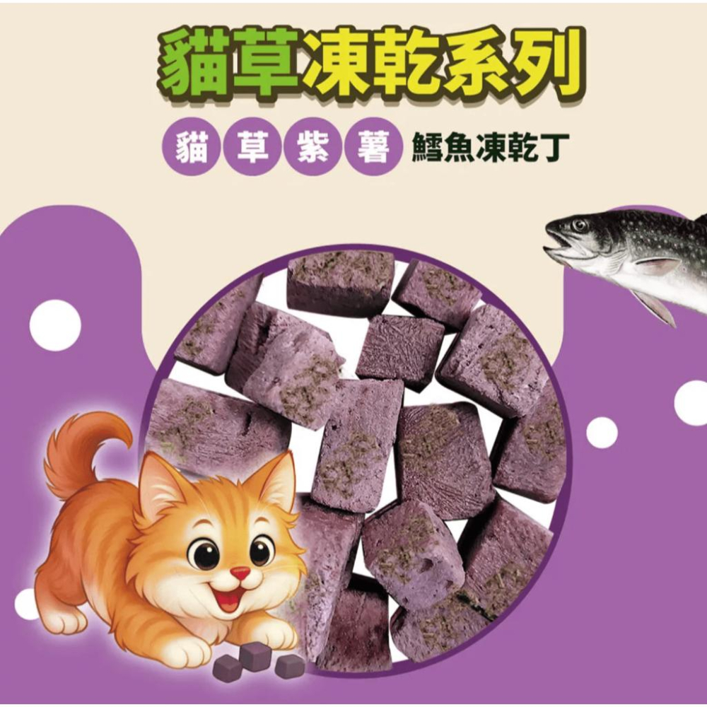 驕傲貓 💜貓草凍乾丁💜 貓咪凍乾 凍乾貓凍乾寵物凍乾貓零食貓咪零食原肉凍乾貓點心寵物零食凍乾零食雞肉凍乾凍干鮭魚凍乾-細節圖4