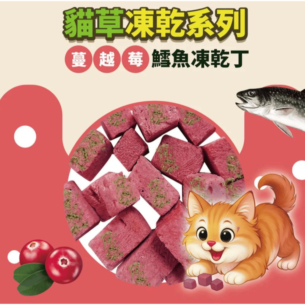驕傲貓 💜貓草凍乾丁💜 貓咪凍乾 凍乾貓凍乾寵物凍乾貓零食貓咪零食原肉凍乾貓點心寵物零食凍乾零食雞肉凍乾凍干鮭魚凍乾-細節圖5
