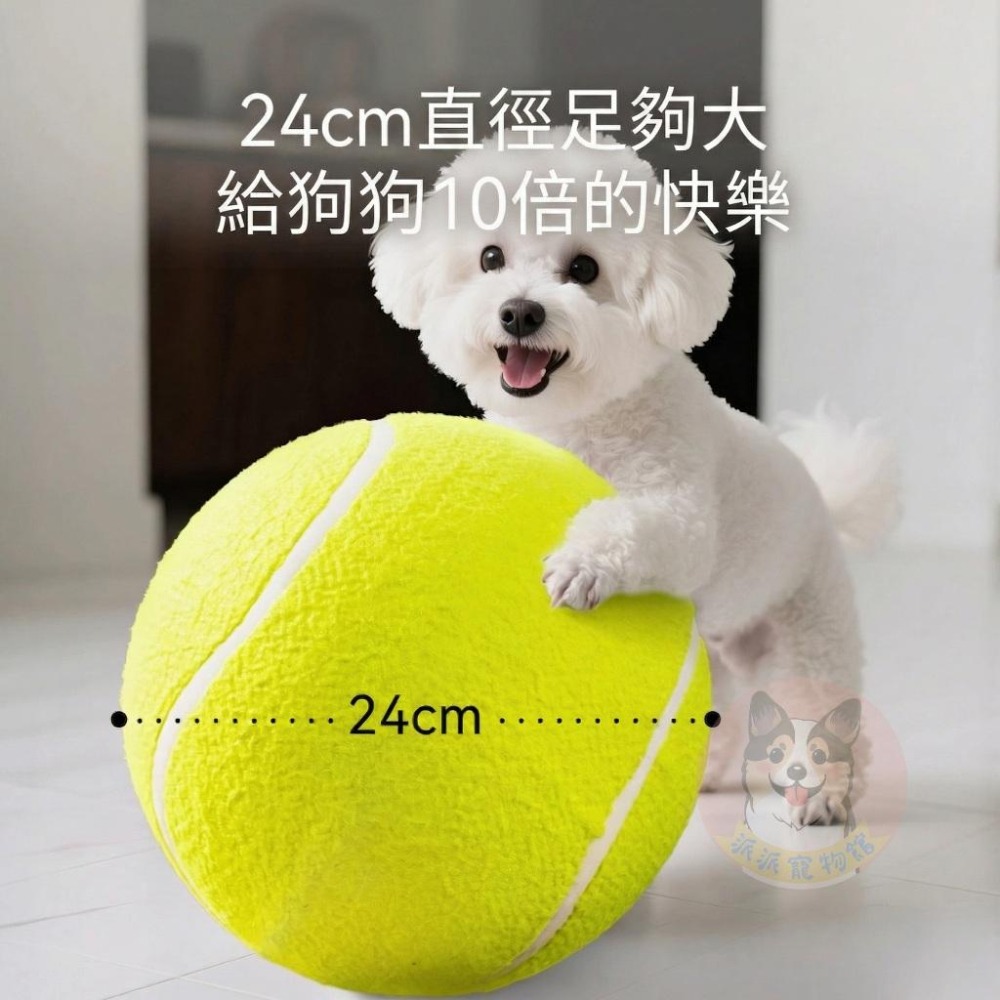 超大網球🤩 巨無霸 寵物玩具球 狗狗球 狗玩具 狗狗玩具 寵物玩具 邊牧黃金 狗玩具球狗球 大球球 打氣筒 狗狗大玩具球-細節圖3