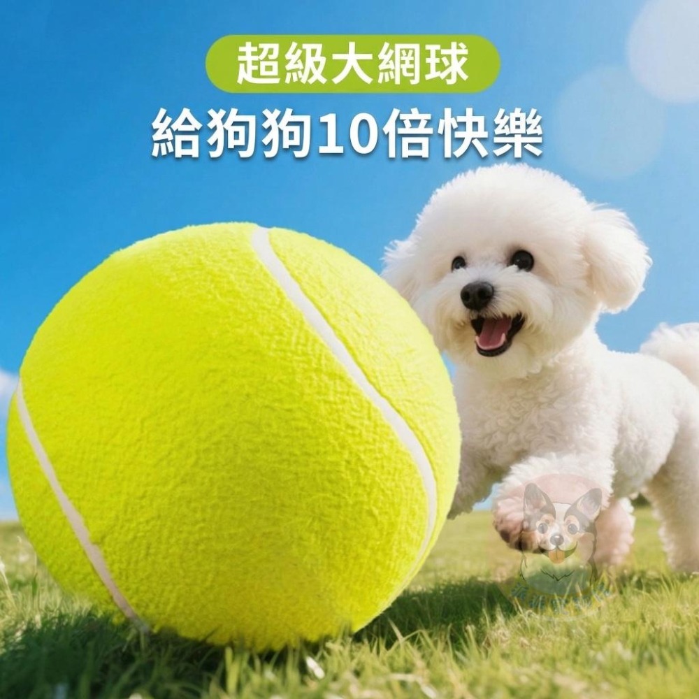 超大網球🤩 巨無霸 寵物玩具球 狗狗球 狗玩具 狗狗玩具 寵物玩具 邊牧黃金 狗玩具球狗球 大球球 打氣筒 狗狗大玩具球-細節圖4