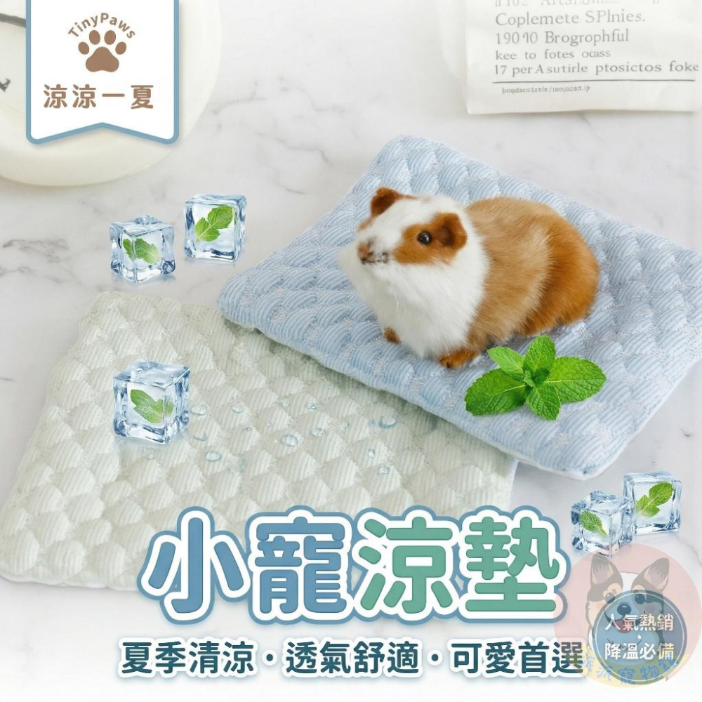 小寵涼墊💦 倉鼠窩 寵物窩 冰絲涼感窩 小寵窩墊 鼠窩 天竺鼠 小動物 涼墊 小窩 倉鼠刺蝟龍貓兔子小寵墊子小動物用品-細節圖2