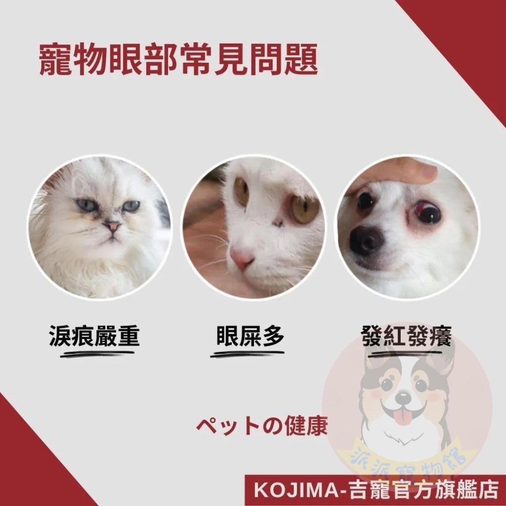 KOJIMA淚痕濕巾💦 寵物濕紙巾 寵物濕巾 狗狗濕紙巾 貓咪濕紙巾 淚痕 淚腺 寵物用品 狗狗用品 貓咪用品 棉片紙巾-細節圖2