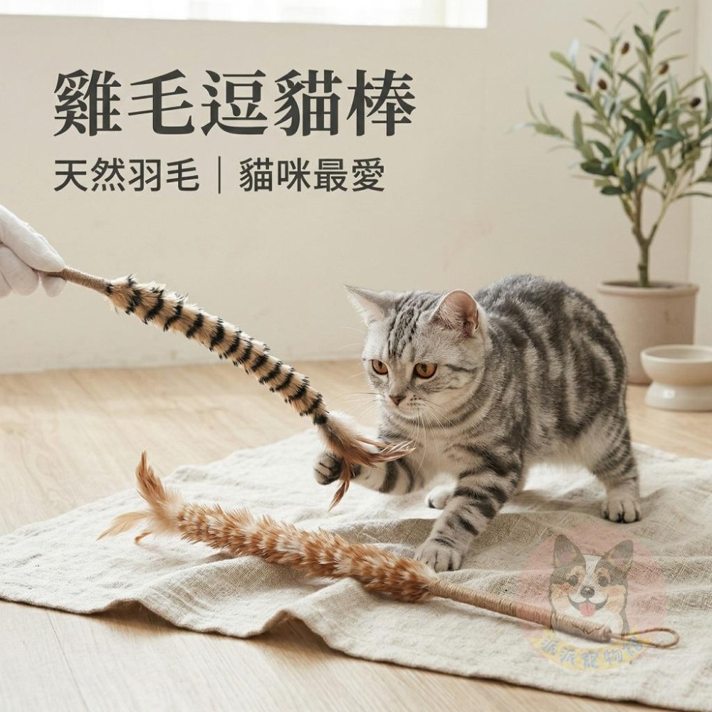 雞毛撢逗貓棒🌿 逗貓棒 貓玩具 貓咪玩具 寵物玩具 逗貓玩具 幼貓玩具 豆貓棒 貓的玩具 毛絨 羽毛逗貓棒 棉繩小貓玩具-細節圖2