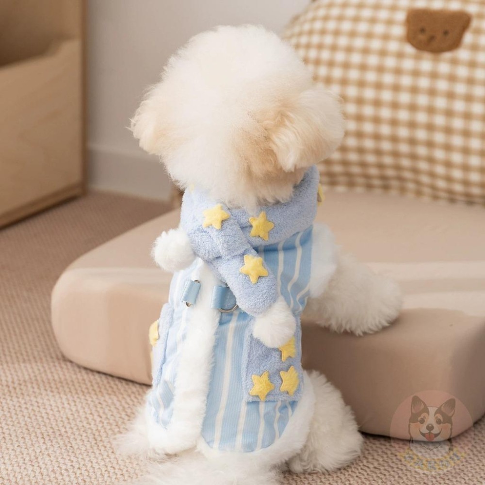 🌟滿天星條紋套裝🌟 寵物衣服 狗衣服 貓衣服 狗狗衣服 貓咪衣服 寵物服飾 寵物背心 博美貴賓狗小型犬小狗幼犬幼貓衣服-細節圖3
