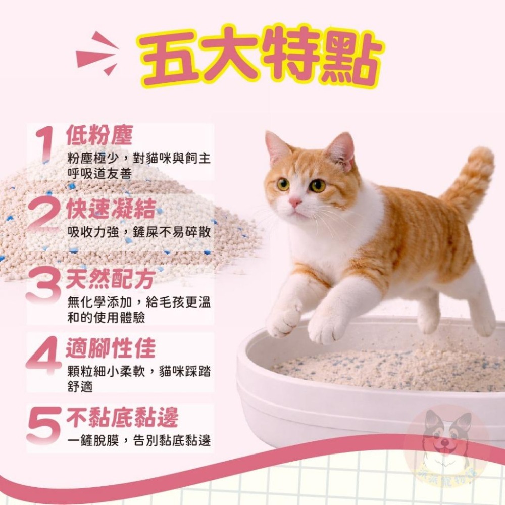 幸福時刻😌 瞬凝天然木薯貓砂 木薯砂 除臭貓砂 貓咪用品 貓用品 好用貓砂 手提貓砂活性碳幼貓用品寵物用品益生菌貓砂猫砂-細節圖4