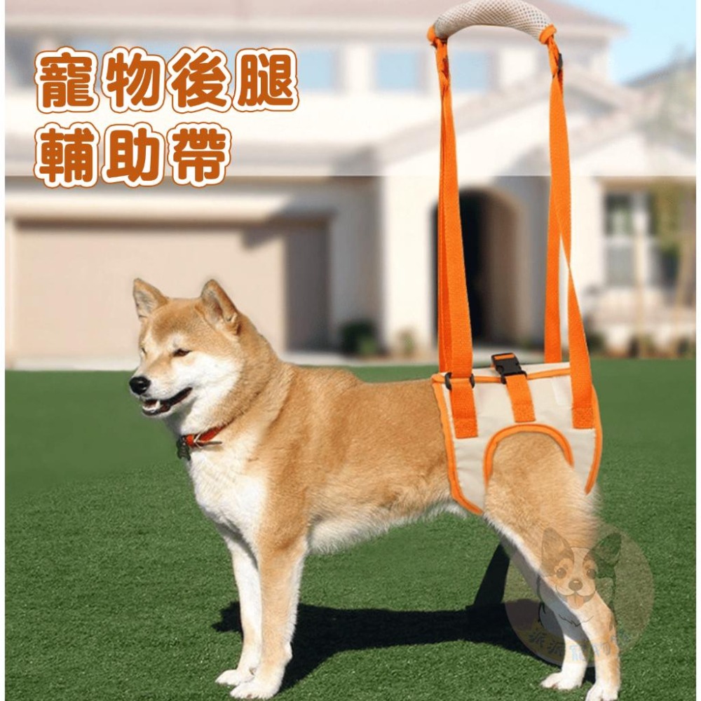 後腿輔助帶 老犬扶行 加厚手把 可調長度 牛津布 網布 大型犬中小型犬適用-細節圖2