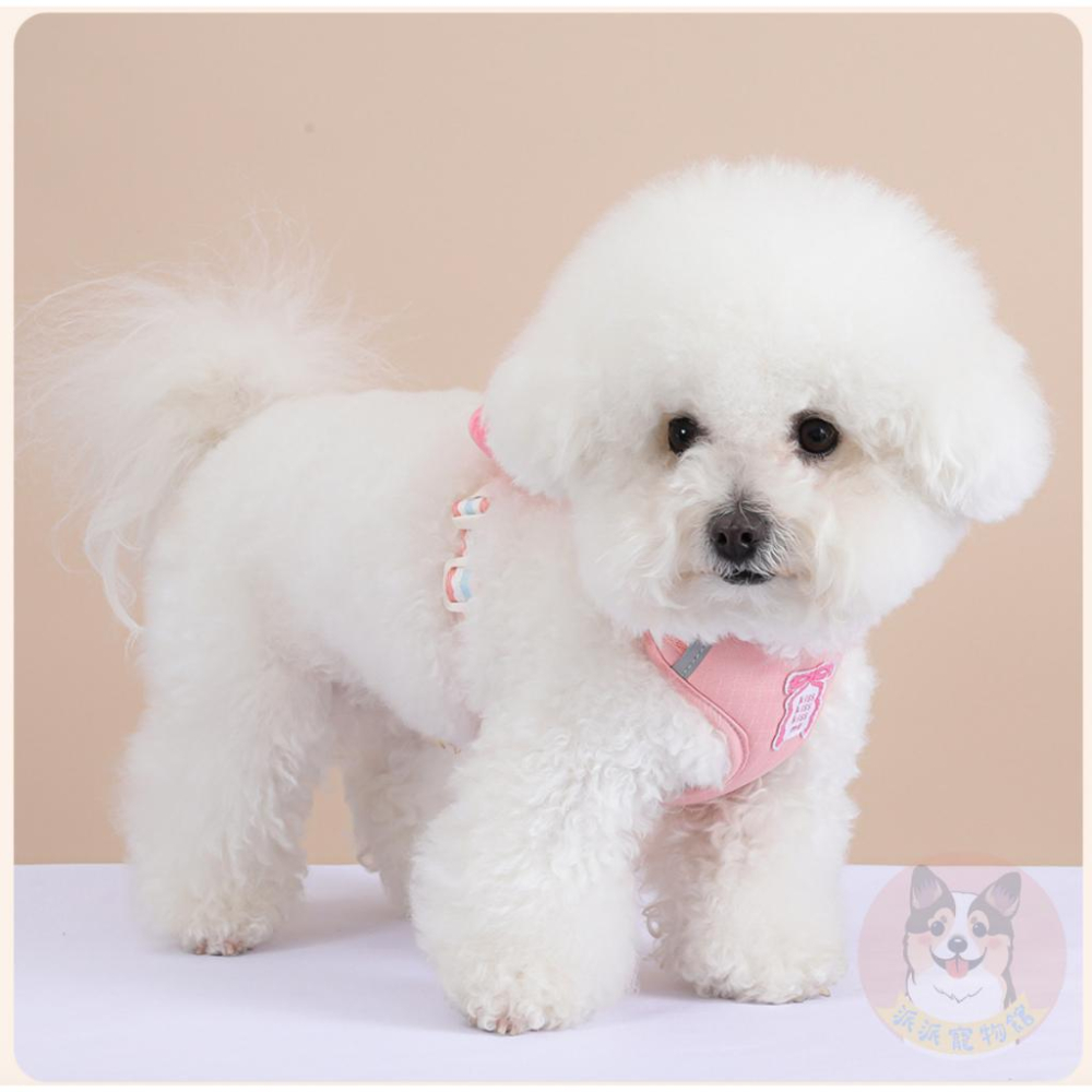 🎀毛絨立體蝴蝶結胸背帶🎀 寵物胸背帶 狗狗胸背帶 貓咪胸背帶 狗胸背帶 貓胸背帶幼犬胸背帶小型犬胸背帶胸背狗胸背寵物背帶-細節圖6