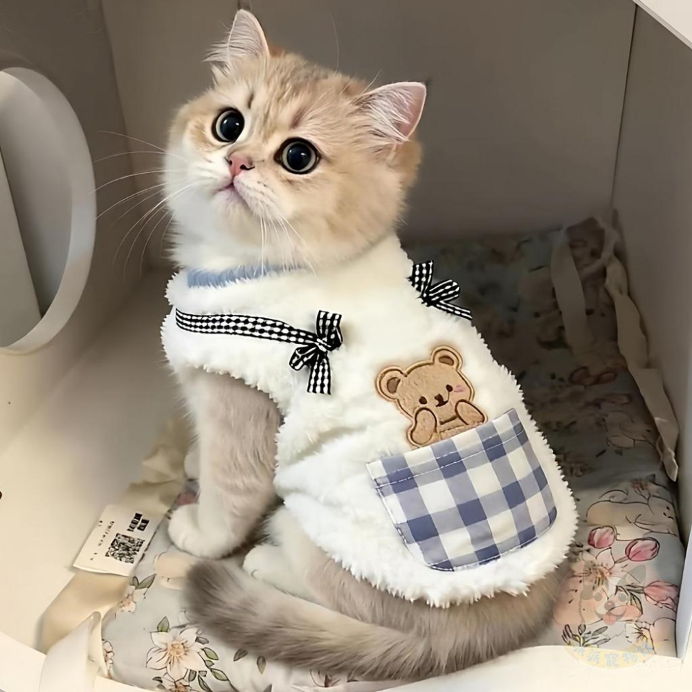 熊寶寶背心🐻❤️狗狗衣服 幼貓衣服 寵物衣服 幼犬衣服 小狗衣服 貓咪衣服 貴賓狗貓咪博美約克夏布偶貓背心保暖冬天衣服-細節圖8