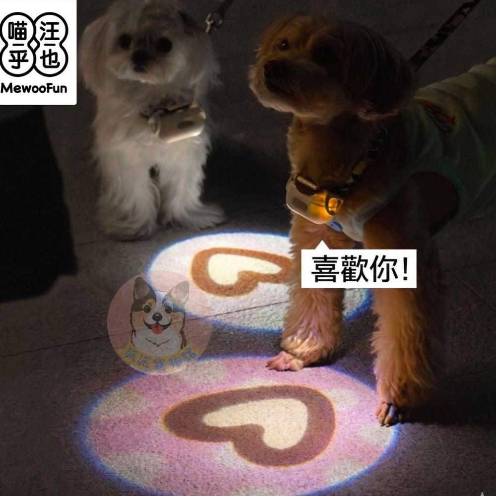 盒損出清** 喵乎汪也 愛心燈 散步燈 回頭率超高 寵物發光項圈狗狗小狗掛飾燈圈夜光螢光圈夜間遛狗夜間小型燈-細節圖3