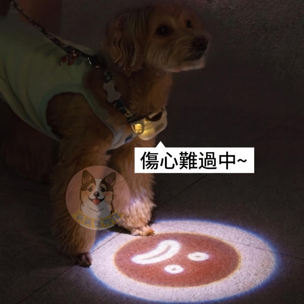 盒損出清** 喵乎汪也 愛心燈 散步燈 回頭率超高 寵物發光項圈狗狗小狗掛飾燈圈夜光螢光圈夜間遛狗夜間小型燈-細節圖5