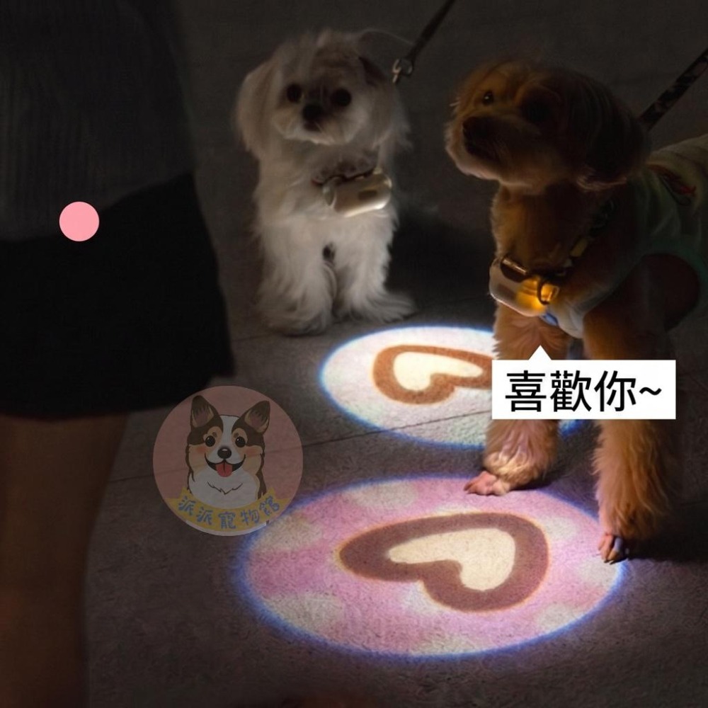 盒損出清** 喵乎汪也 愛心燈 散步燈 回頭率超高 寵物發光項圈狗狗小狗掛飾燈圈夜光螢光圈夜間遛狗夜間小型燈-細節圖6