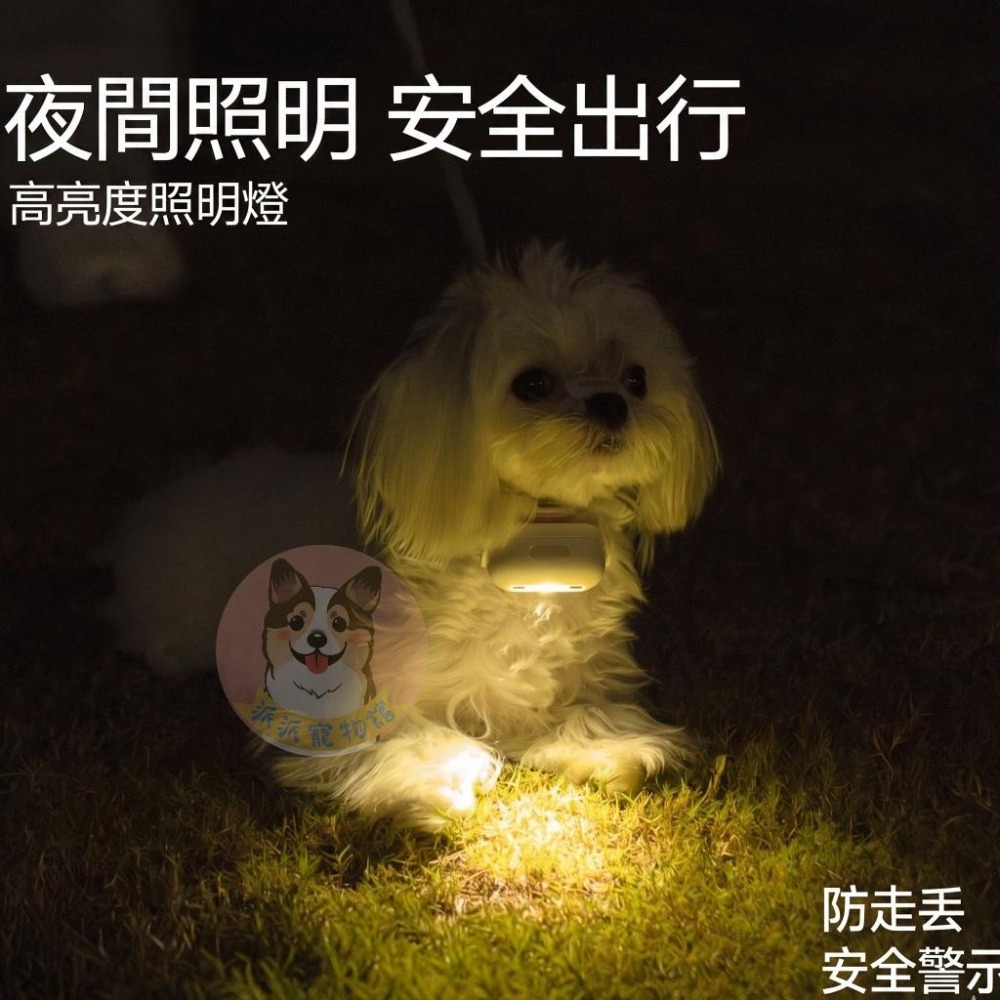 盒損出清** 喵乎汪也 愛心燈 散步燈 回頭率超高 寵物發光項圈狗狗小狗掛飾燈圈夜光螢光圈夜間遛狗夜間小型燈-細節圖7
