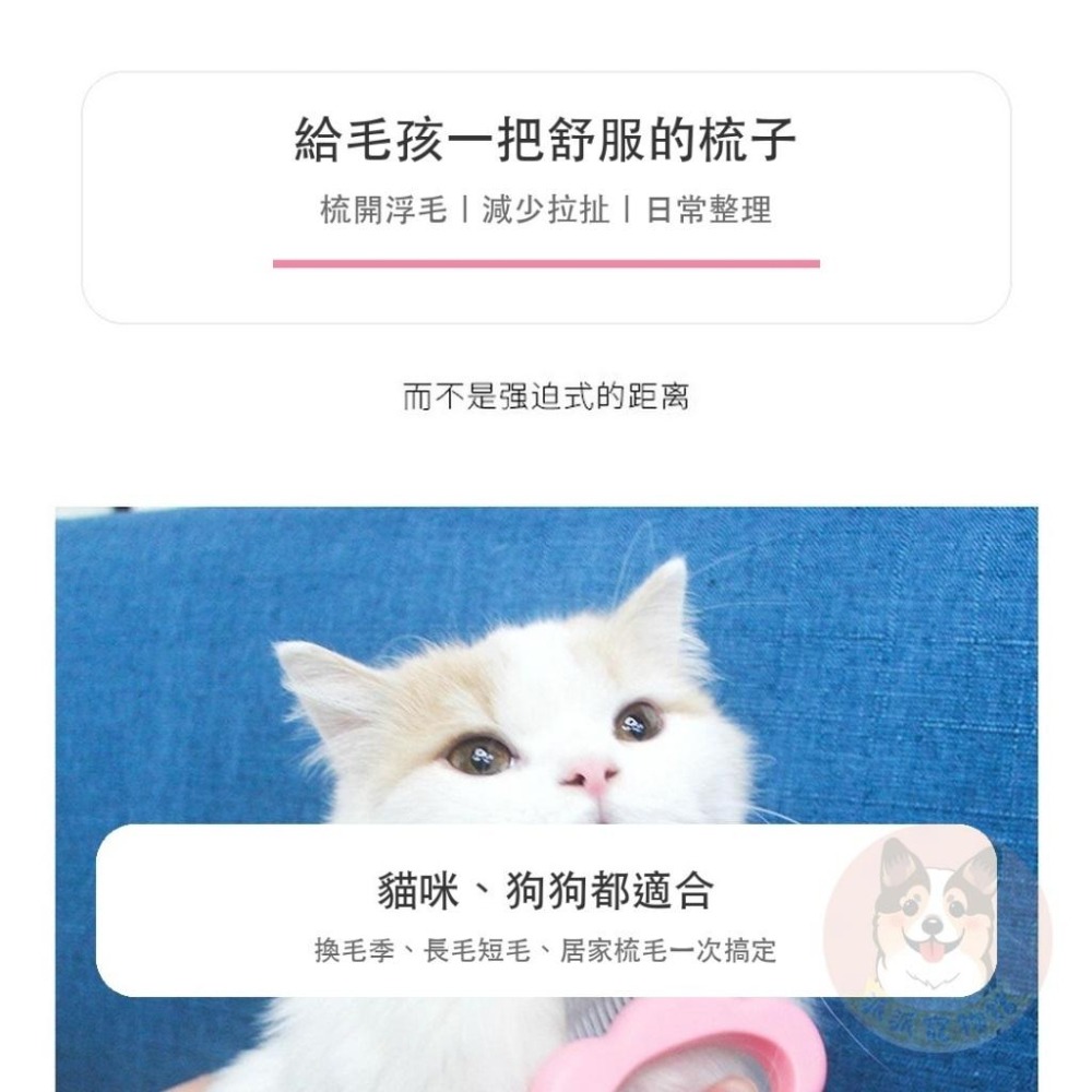 派派寵物館 貓咪貝殼梳 溫柔梳毛按摩 浮毛整理 圓潤梳齒 貓狗適用 貓咪梳子 貓梳子 寵物梳子 貓咪梳毛-細節圖6