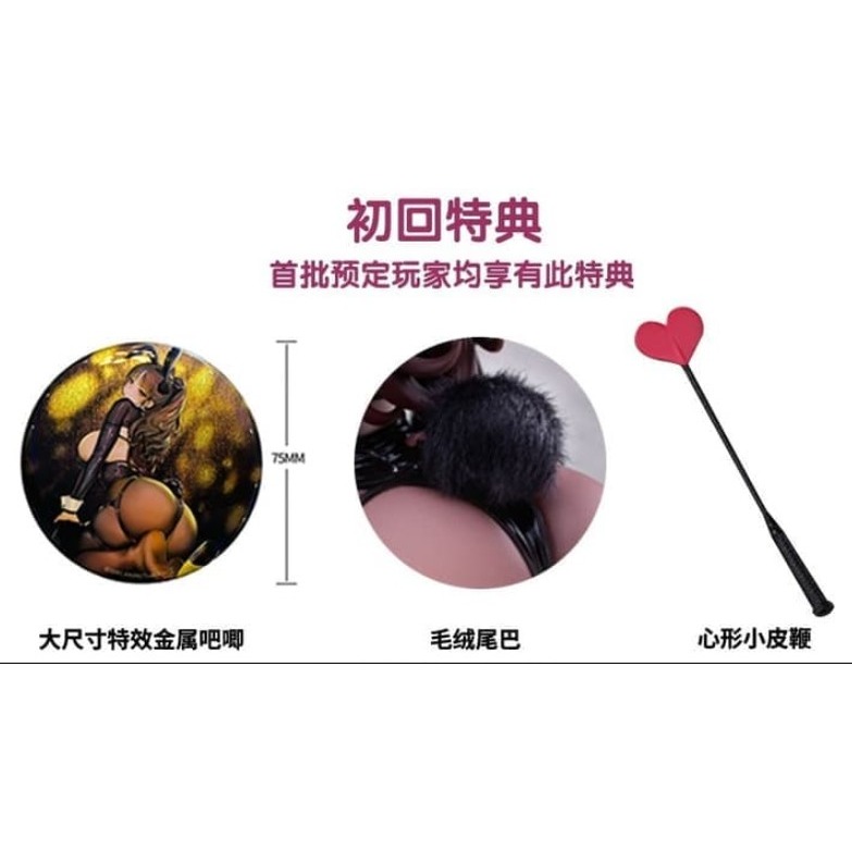 一般版 黑絲版