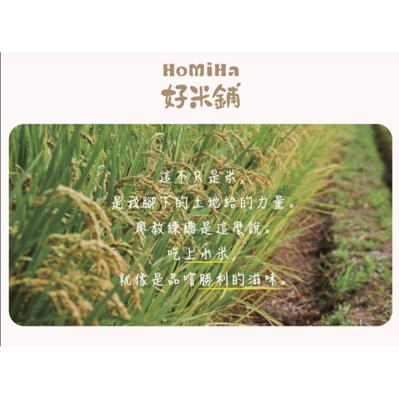 <好米亞選物>好米舖 300g 越光米 戀美人-細節圖5