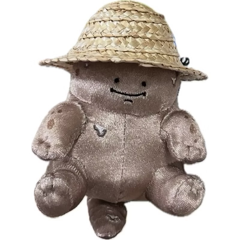 日本🇯🇵正版 代購正品 全新未拆 Nagano水族館系列 山椒魚（限量）吊飾娃娃-細節圖4