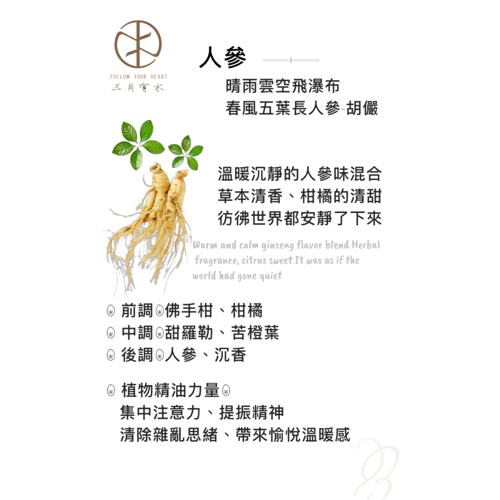 人參（人參草本香氣）