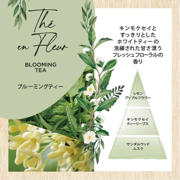 預購＆日本正品 日本製 室內花園自然 線香 40入 香味 香氛 空間魔法 給我錢工作室 mori plenty-細節圖9