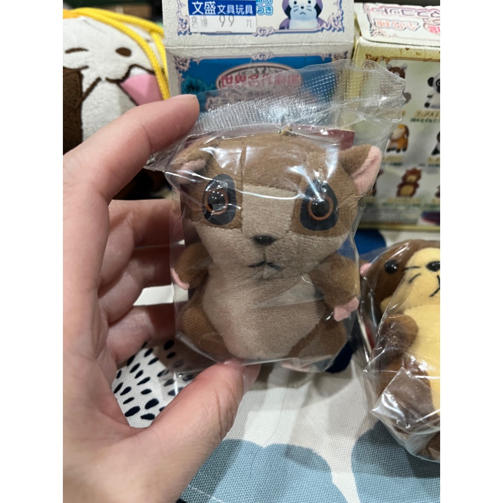 鼯鼠
