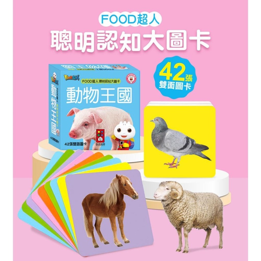 【風車圖書】FOOD超人聰明認知大圖卡-動物王國/可愛動物/交通工具/日常生活/美味蔬果/基礎ㄅㄆㄇ 多重點讀認知必備-細節圖3