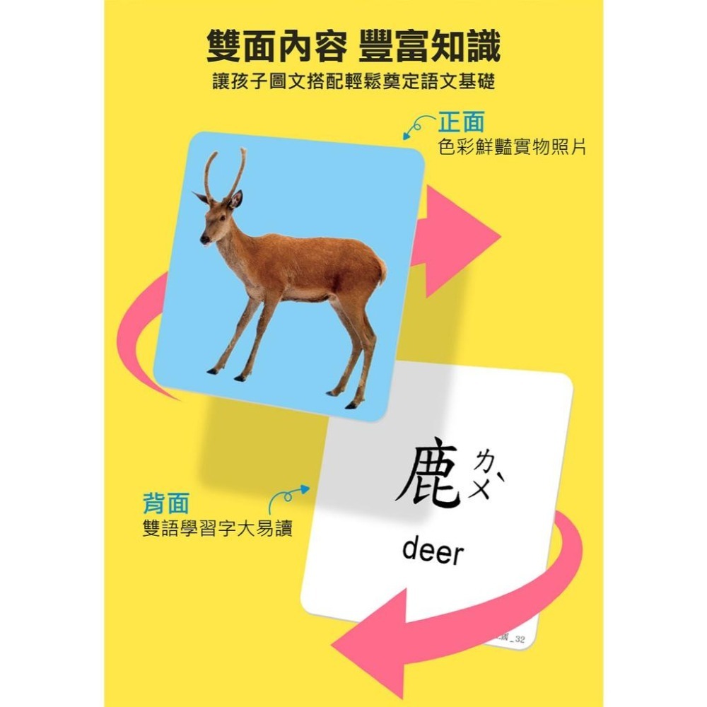 【風車圖書】FOOD超人聰明認知大圖卡-動物王國/可愛動物/交通工具/日常生活/美味蔬果/基礎ㄅㄆㄇ 多重點讀認知必備-細節圖5