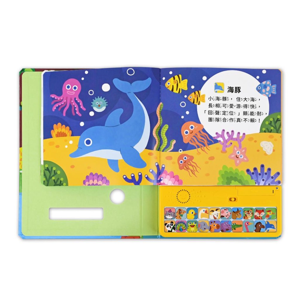 【風車圖書】小手按按聽念謠-百變生活音效書/動物狂歡音效書-細節圖9