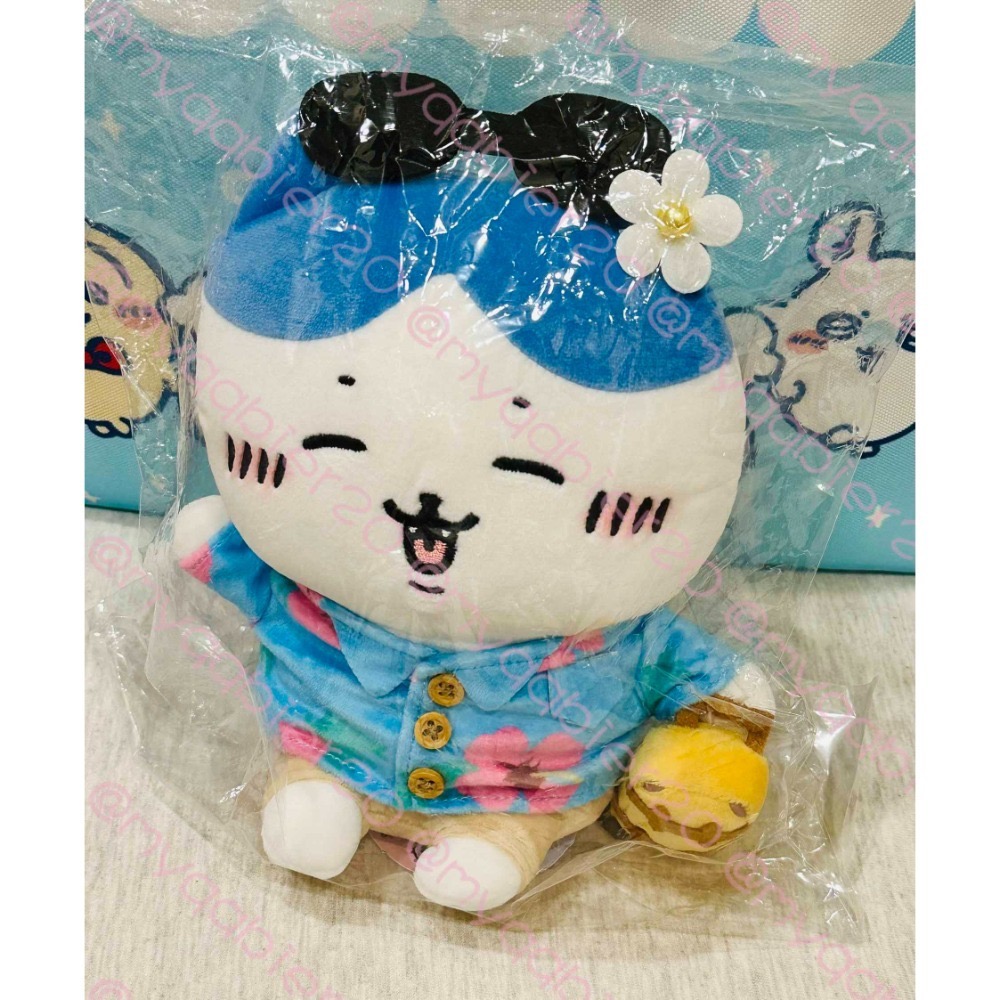 觀光S娃（小八/小八貓）