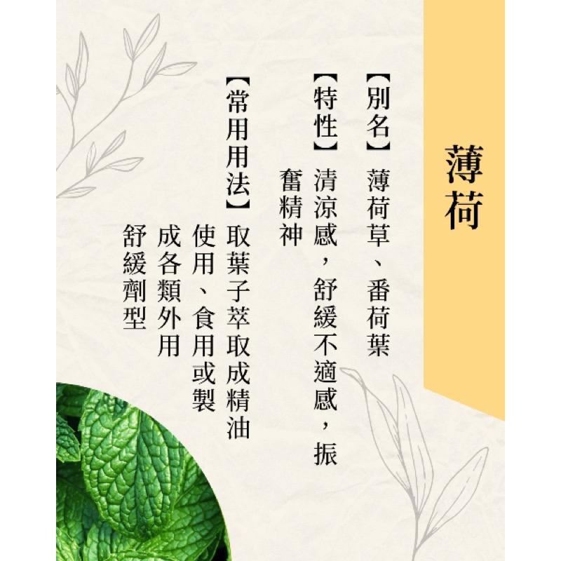 多件優惠🔆瑞元一條根舒緩油膏30g 按摩油膏-細節圖3