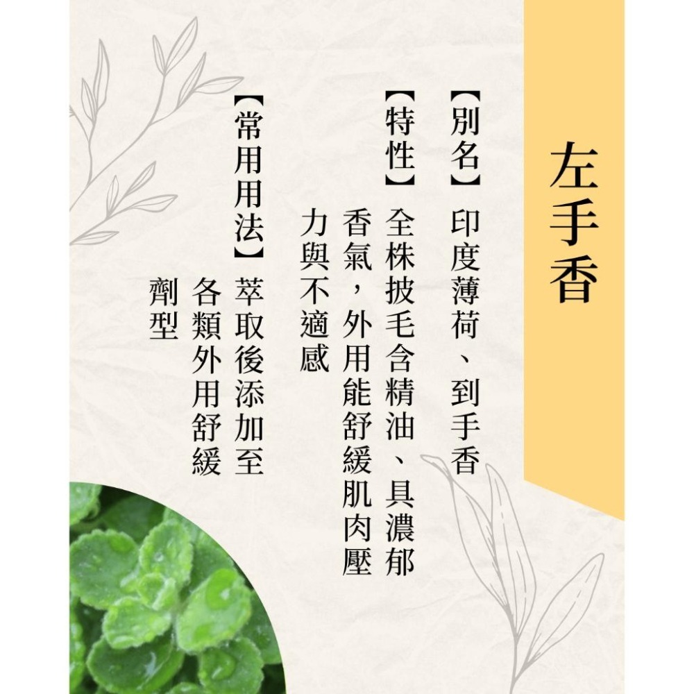 【隨身舒緩】一條根滾珠瓶 5ml，另有大包裝賣場-細節圖4