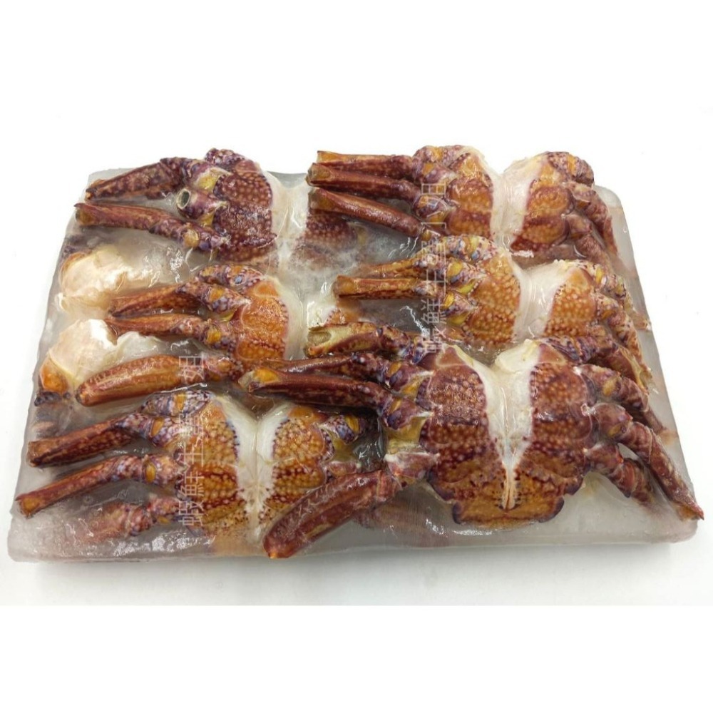 【蝦鮮生蟹小姐】石蟹身 XL  1.6K/包  *鮮美與最飽滿的肉質   **每包400元**-細節圖3