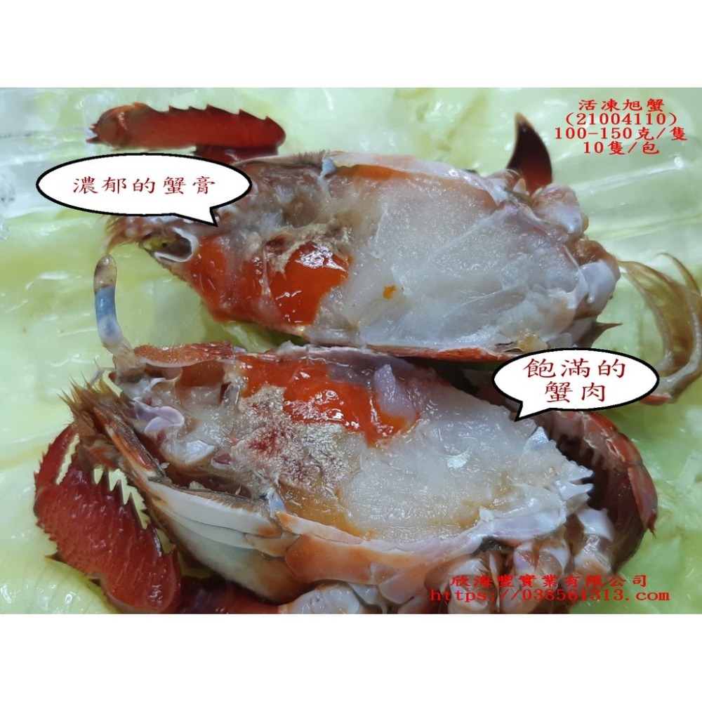 【蝦鮮生蟹小姐】野生公旭蟹   10隻/包   100-150克/隻   肉質絲絲細緻    **每包600元**-細節圖4