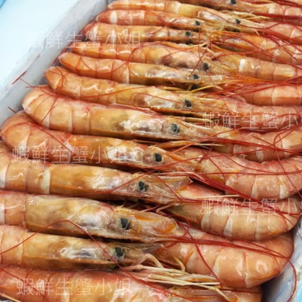 【蝦鮮生蟹小姐】紅蝦    2K/盒  🚩色澤紅潤、鮮度100%! 肉質鮮甜、Q彈-細節圖2