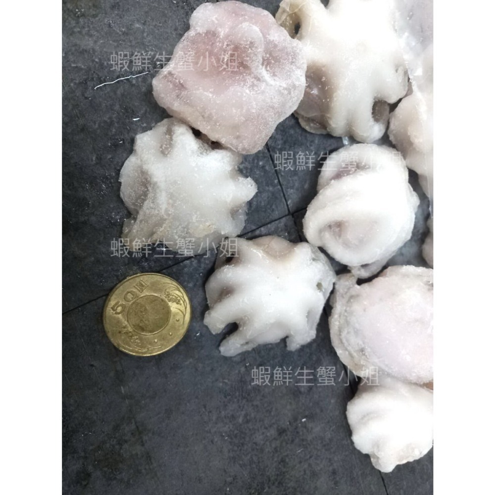 【蝦鮮生蟹小姐】小章魚  61/80  1000克/包   鮮美脆彈~  **每包400元**-細節圖5