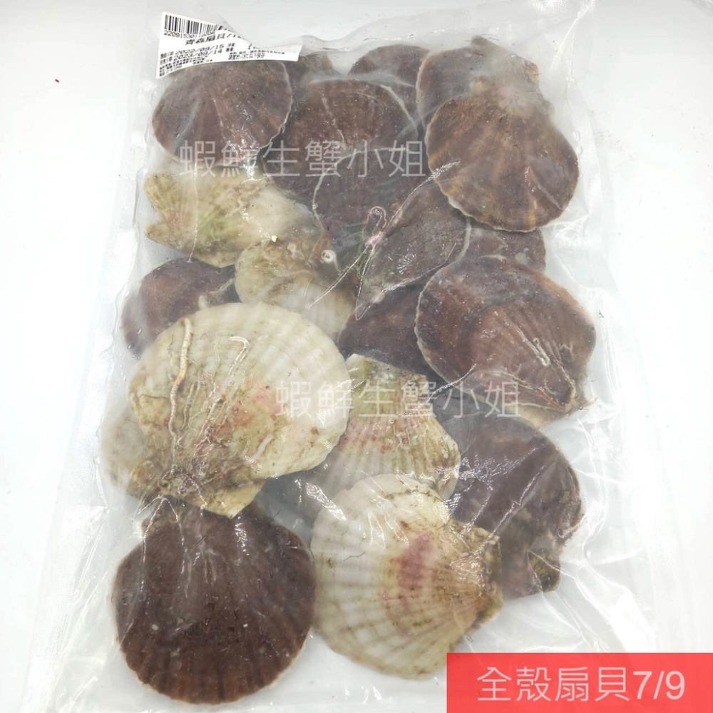 【蝦鮮生蟹小姐】活凍全殼扇貝(北海道) 7-9cm/顆  15-18粒/包   無彭發無砂的高品質！ *每包370元*-細節圖5