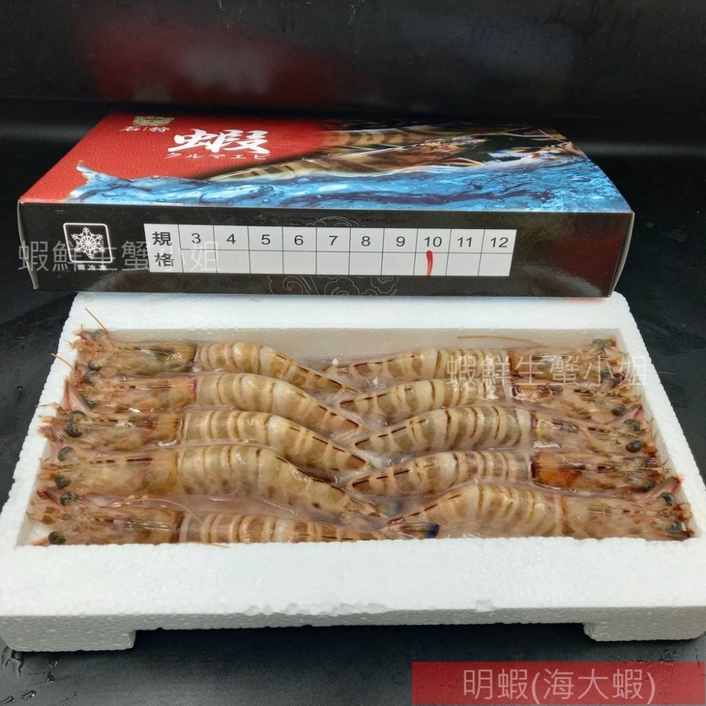 【蝦鮮生蟹小姐】明蝦   10入裝/盒  420克 🚩蝦肉鮮甜彈牙，讓人欲罷不能。**每盒550元**-細節圖2