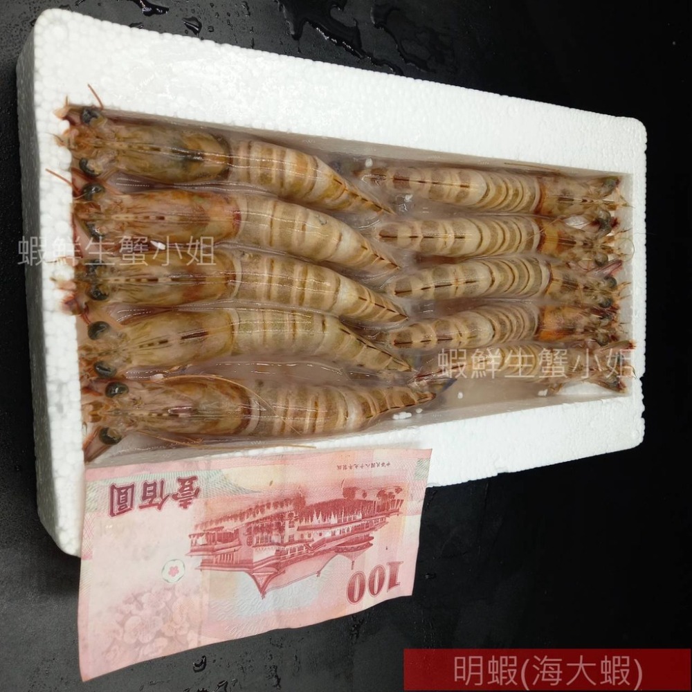 【蝦鮮生蟹小姐】明蝦   10入裝/盒  420克 🚩蝦肉鮮甜彈牙，讓人欲罷不能。**每盒550元**-細節圖3