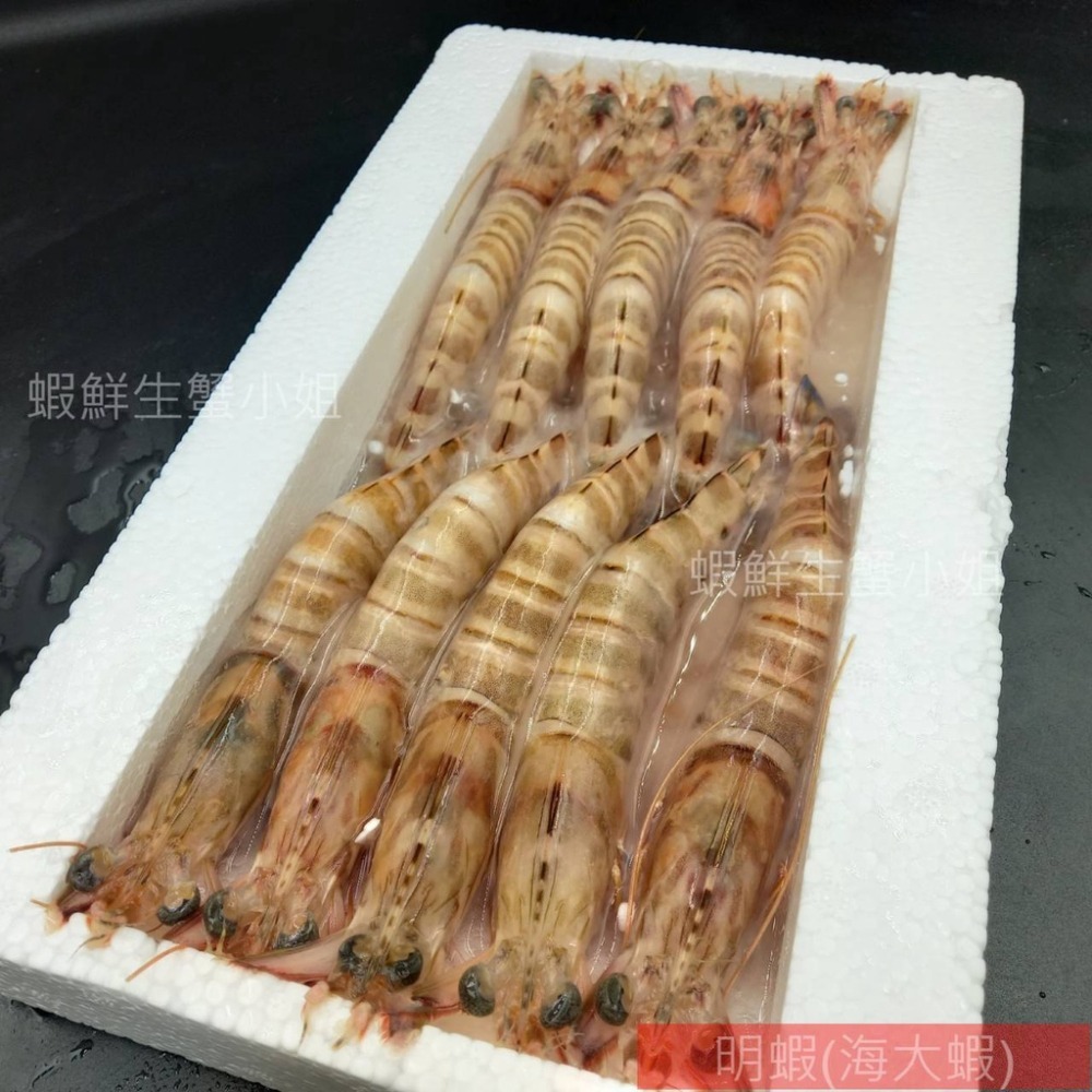 【蝦鮮生蟹小姐】明蝦   10入裝/盒  420克 🚩蝦肉鮮甜彈牙，讓人欲罷不能。**每盒550元**-細節圖4