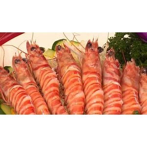 【蝦鮮生蟹小姐】明蝦   10入裝/盒  420克 🚩蝦肉鮮甜彈牙，讓人欲罷不能。**每盒550元**-細節圖6