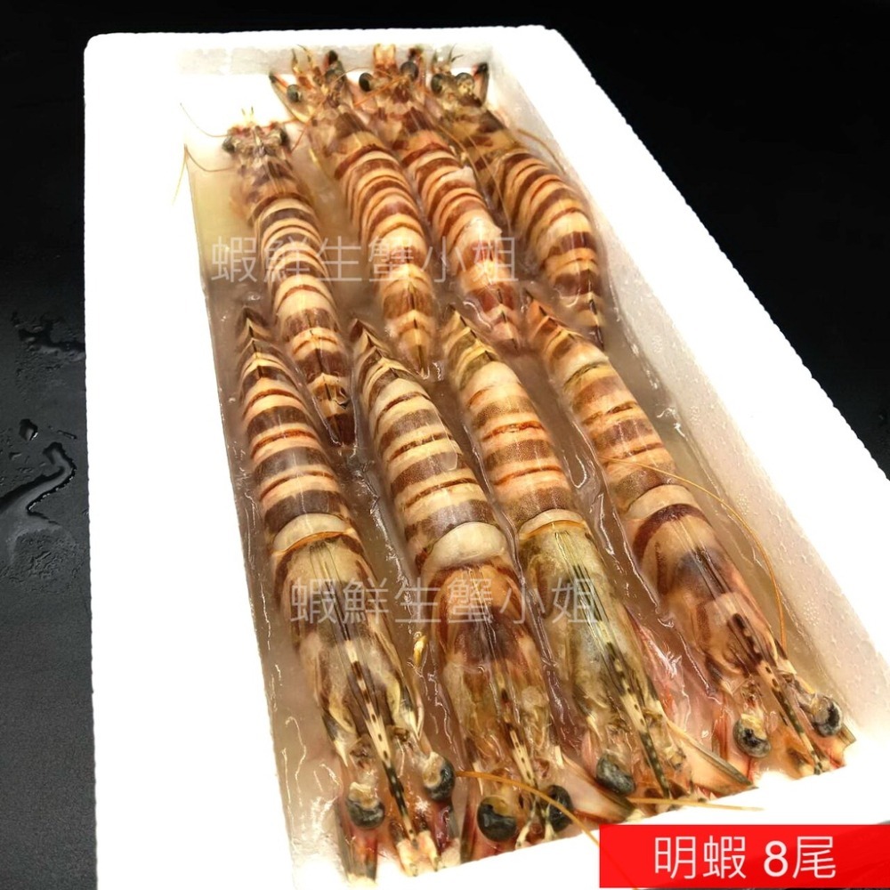 【蝦鮮生蟹小姐】明蝦(海大蝦)  8入裝-盒  420克 🚩蝦肉鮮甜彈牙，讓人欲罷不能    **每盒600元**-細節圖2