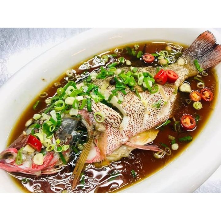 【蝦鮮生蟹小姐】紅魚(紅雞母)  600克上/隻   *喜宴各類宴席專用   **每隻330元**-細節圖3