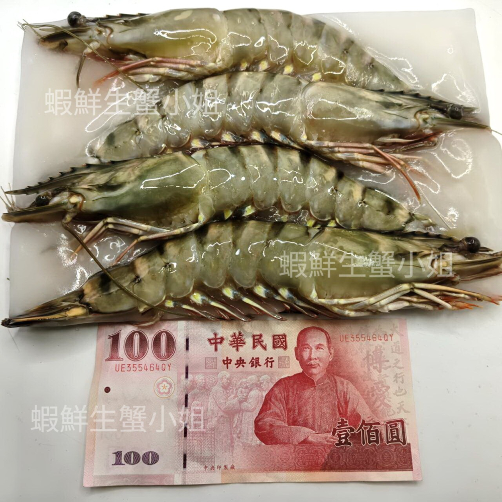 【蝦鮮生蟹小姐】活凍草蝦  4入裝 400克/盒   * 鮮美彈牙   **每盒480元**-細節圖3