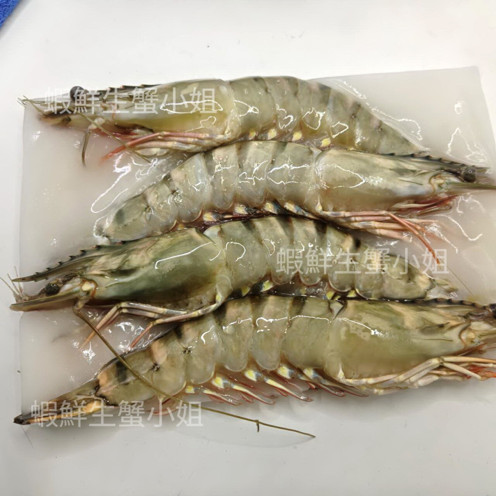 【蝦鮮生蟹小姐】活凍草蝦  4入裝 400克/盒   * 鮮美彈牙   **每盒480元**-細節圖4