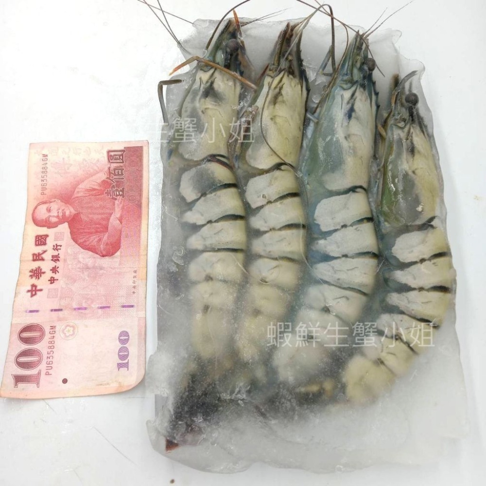 【蝦鮮生蟹小姐】活凍草蝦  4入裝 400克/盒   * 鮮美彈牙   **每盒450元**-細節圖3